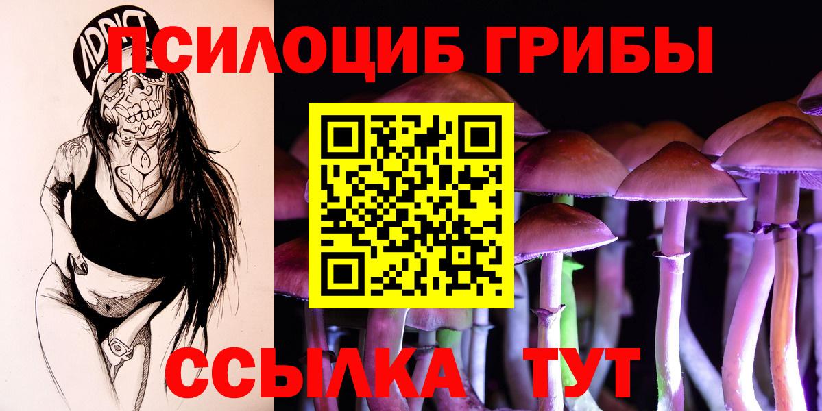 Псилоцибиновые грибы мицелий Владивосток
